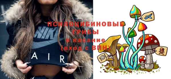 ПСИЛОЦИБИНОВЫЕ ГРИБЫ Абаза