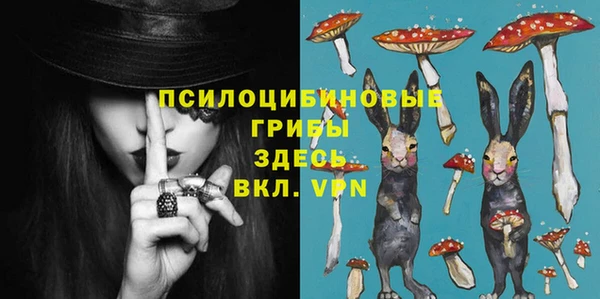 ПСИЛОЦИБИНОВЫЕ ГРИБЫ Абаза