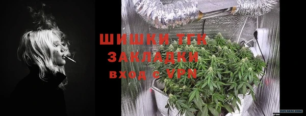 ПСИЛОЦИБИНОВЫЕ ГРИБЫ Абаза