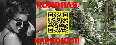 PSILOCYBIN Северобайкальск