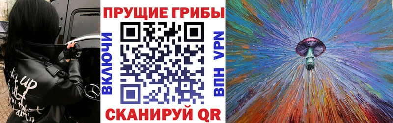Псилоцибиновые грибы Psilocybine cubensis Старая Купавна