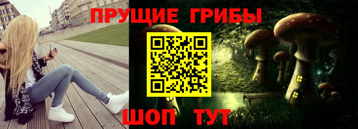 Галлюциногенные грибы GOLDEN TEACHER Старая Купавна