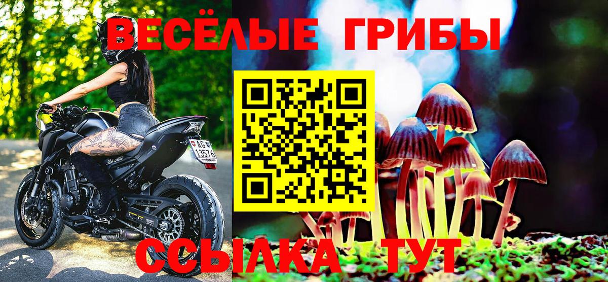 Старая Купавна  Галлюциногенные грибы MAGIC MUSHROOMS  Псилоцибиновые грибы Psilocybine cubensis  Вход с VPN 